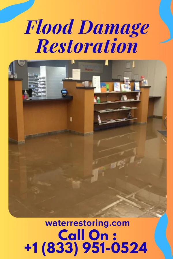 Flood Damage Restoration in Wyldwood, TX