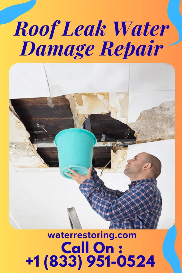 Roof Leak Water Damage Repair in Wyldwood, TX